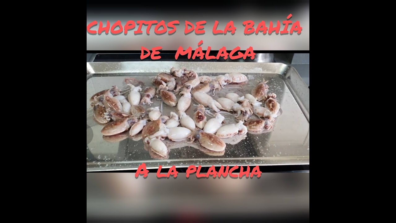 CHOPITOS DE LA BAH&Iacute;A DE M&Aacute;LAGA A LA PLANCHA