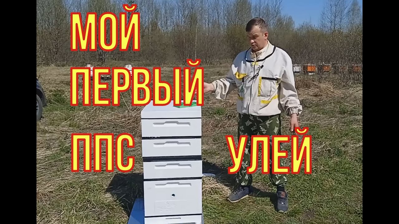 Мой первый улей ППС на пасеке. Так ли хороши ППС  ульи. Полный обзор улья от компании 