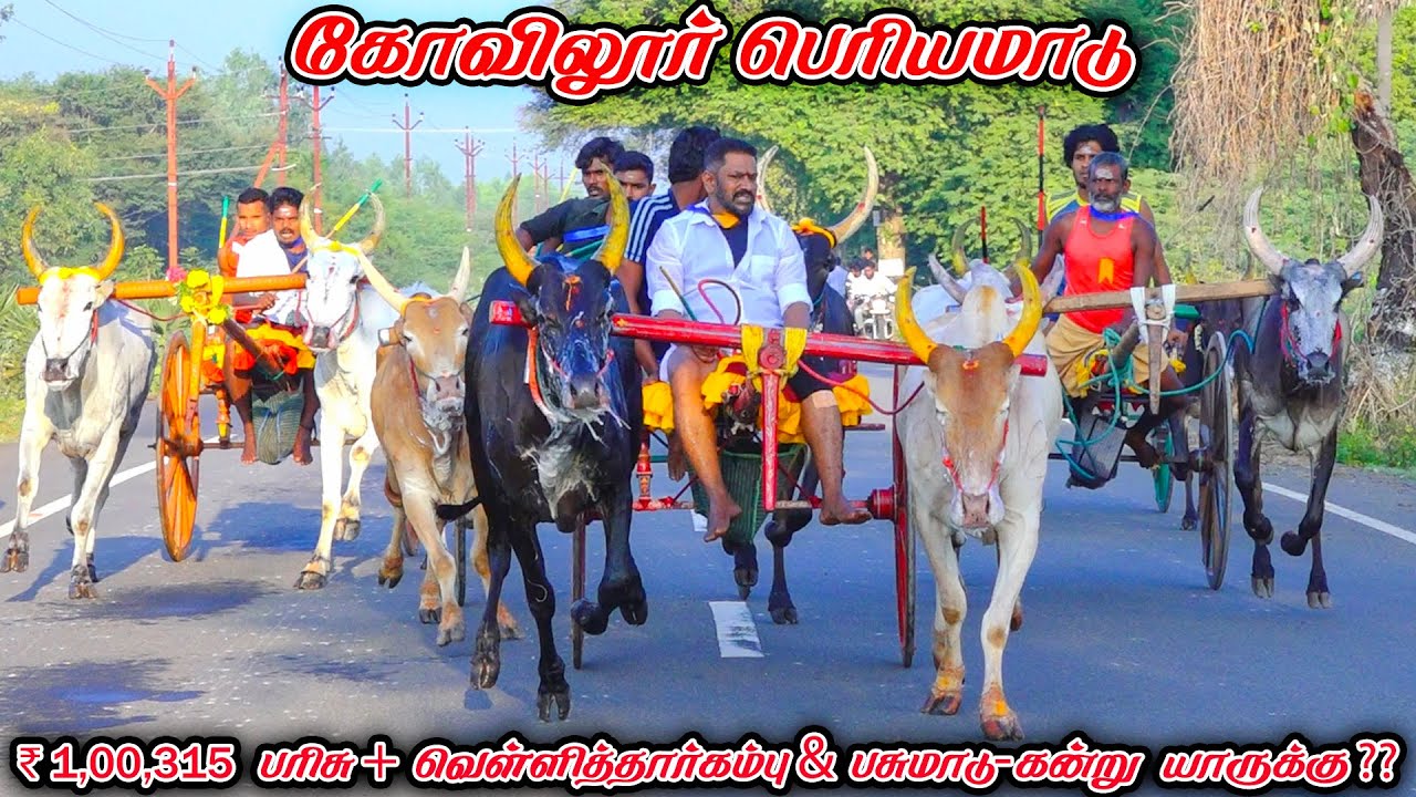 6கோவிலூர்-பெரியமாடு-பந்தயம்_14.12.2025_V_Photography