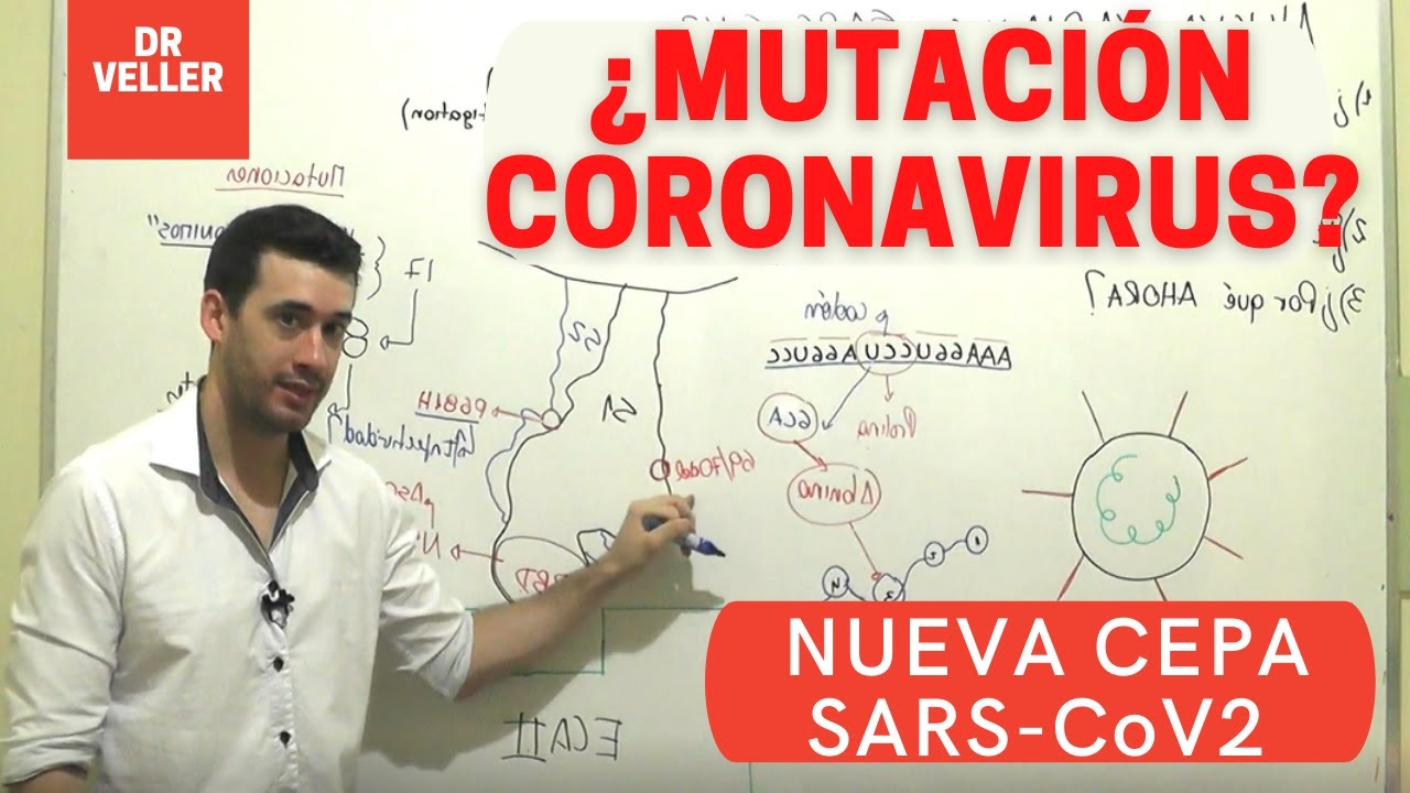 COVID 19 MUTACIÓN | VARIANTE BRITANICA RESUMEN Y ANALISIS