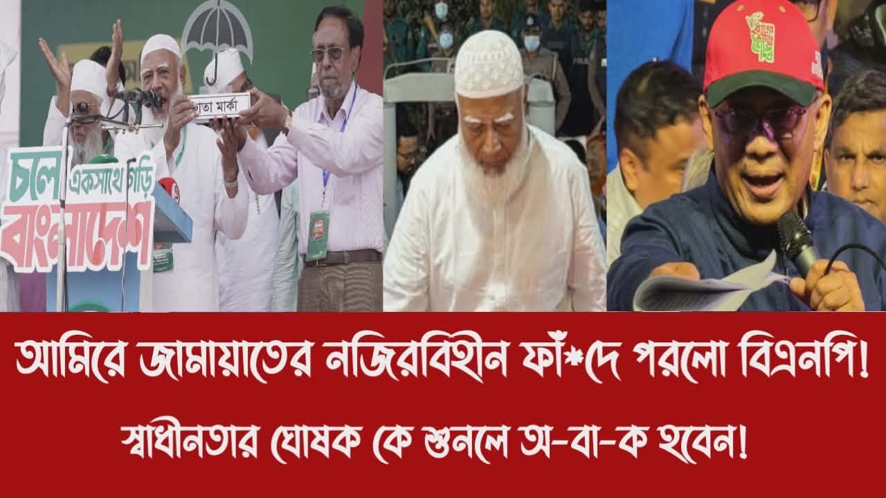 আমিরে জামায়াতের নজিরবিহীন ফাঁ*দে পরলো বিএনপি!||স্বাধীনতার ঘোষক কে শুনলে অ-বা-ক হবেন!