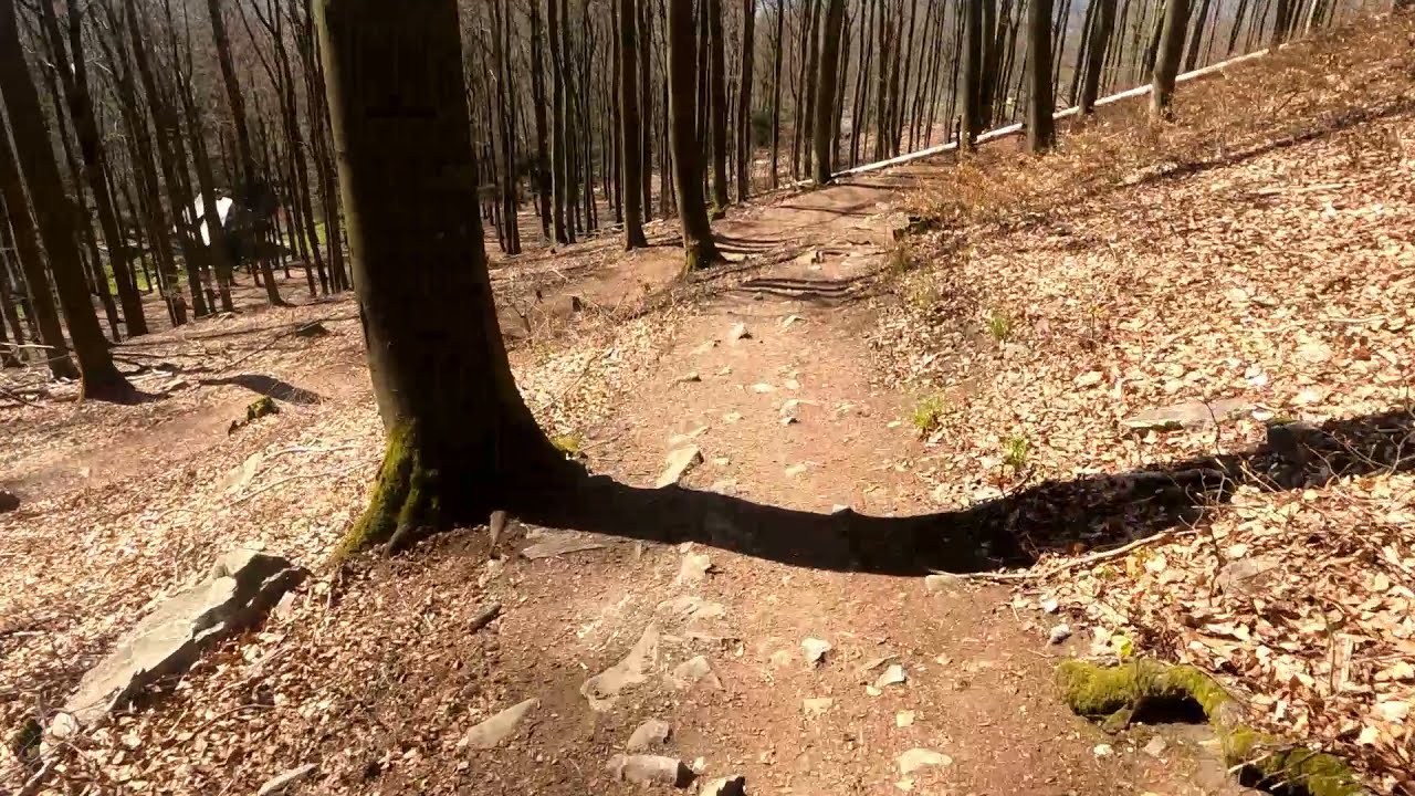 Mountainbike Naturtrail Feldberg (Taunus) und Altkönig