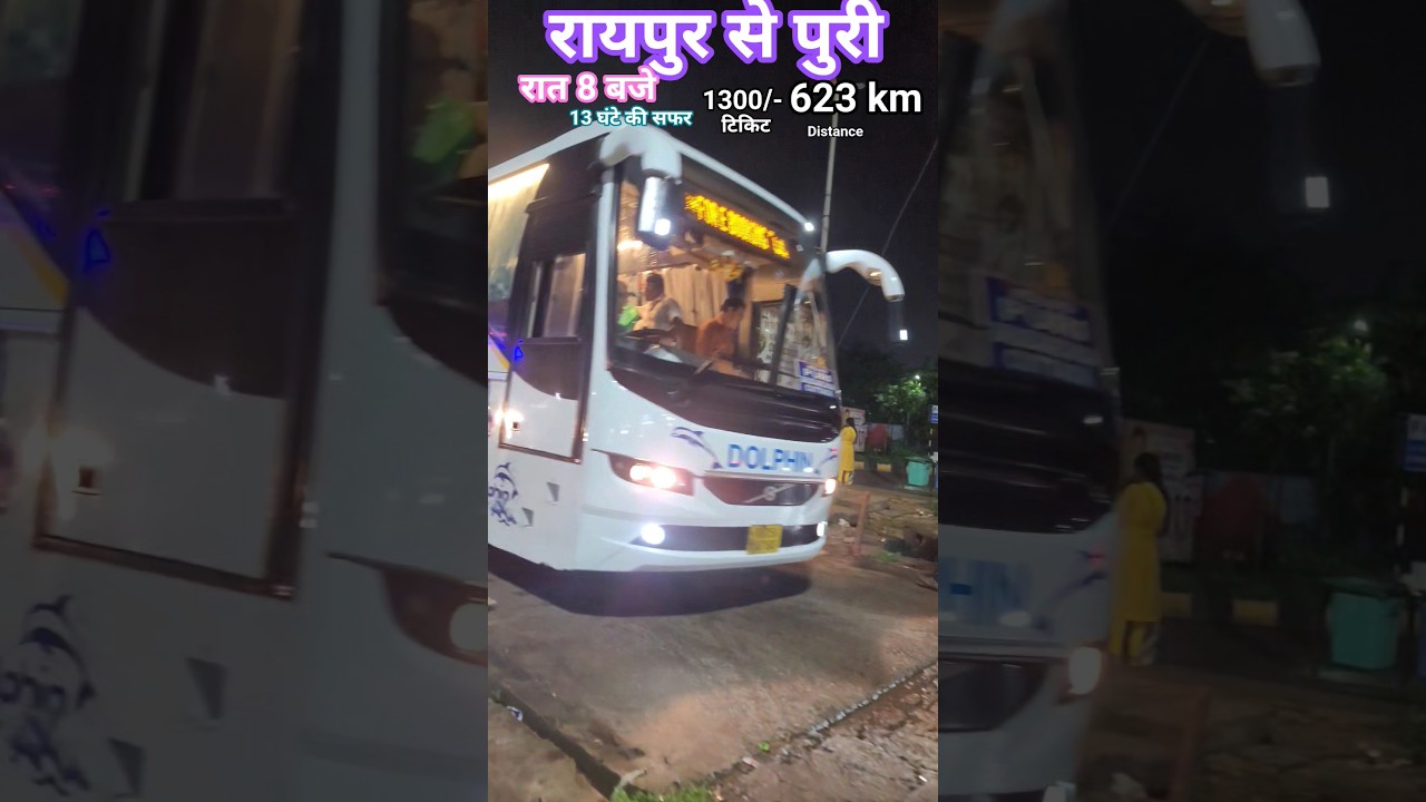 raipur to puri #dolphin #ytshorts #youtubefeed