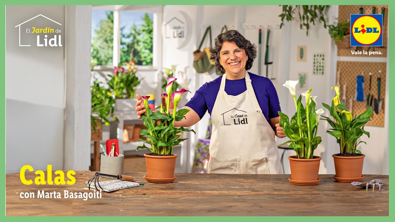 Cómo cuidar la cala 🌷 | El Jardín de Lidl | Lidl España