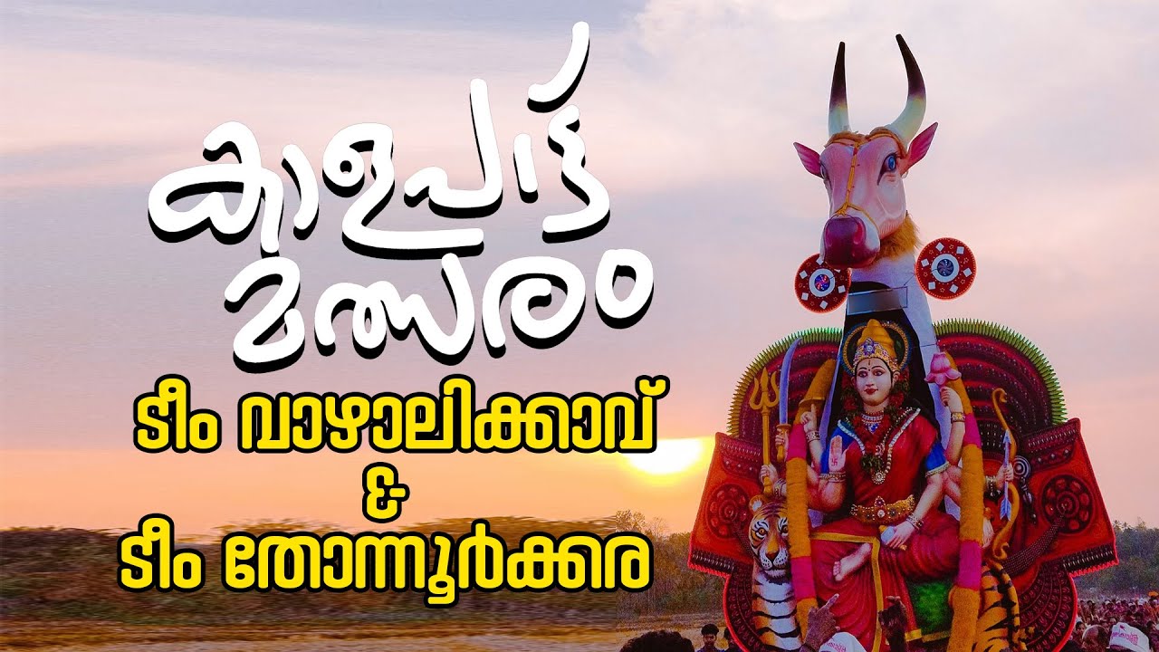 കാളപാട്ട് മത്സരം| ടീം വാഴാലിക്കാവ് & ടീം തോന്നൂർക്കര