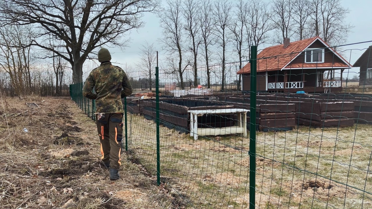 Quiet Spring Countryside Life | The Fence ,Yard Work and Firewood Preparation