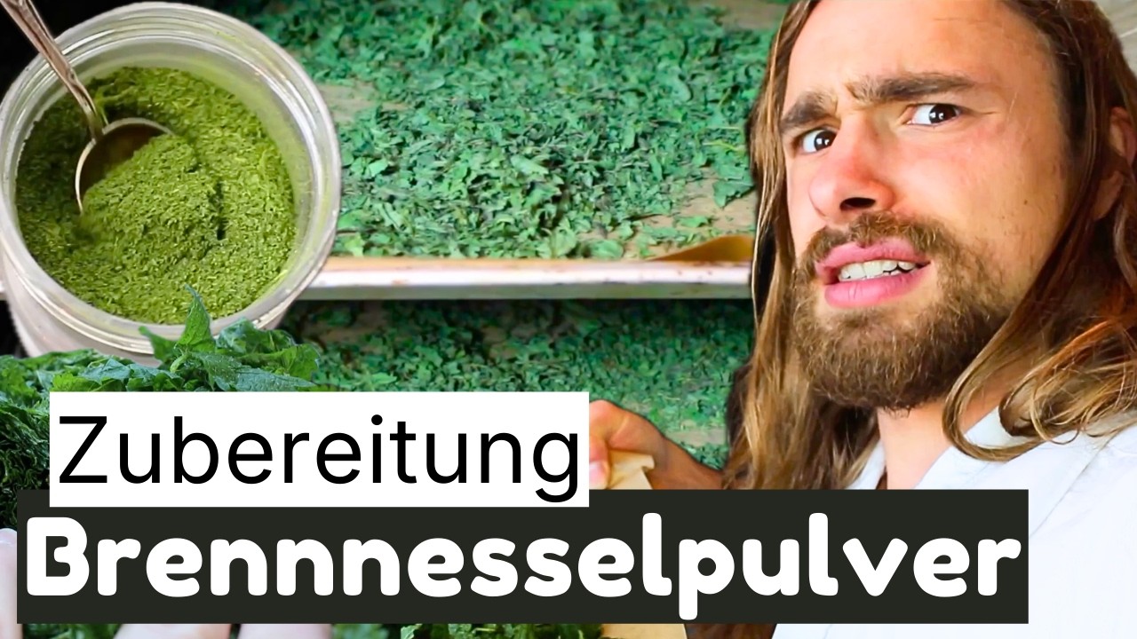 Brennnessel-Pulver selber machen – Kostenloses Superfood aus der Natur!