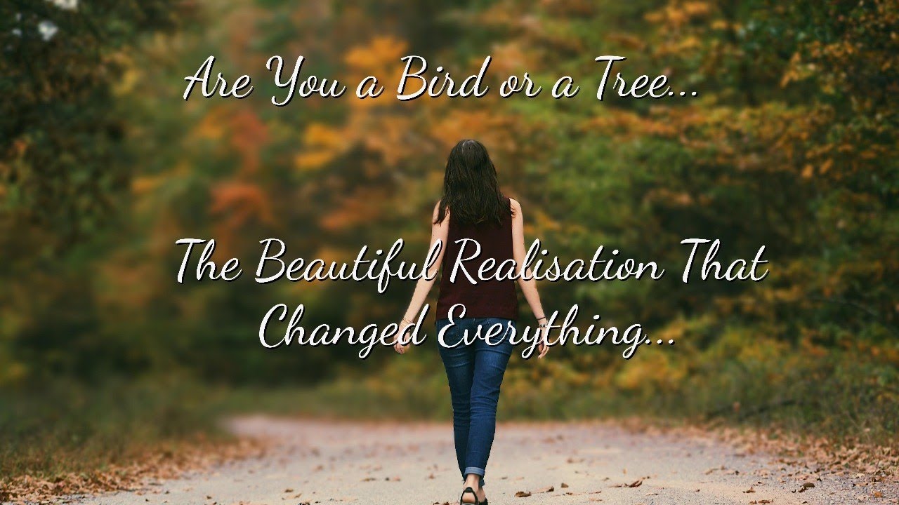 Are You a Bird or a Tree : The Beautiful Realisation That Changed Everything