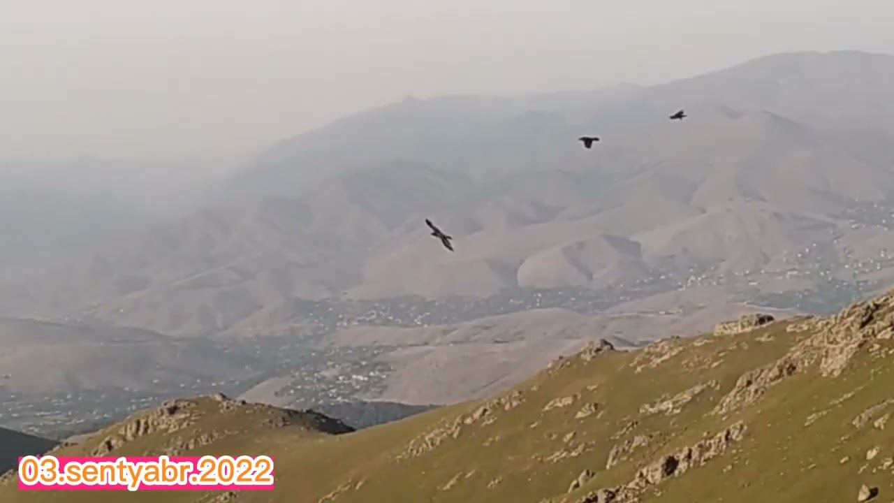 Vətəndən gələn səslər - Gədəbəy Daryurd - Buzxana Səyahət Travel Beautiful Qürbətə Məktub