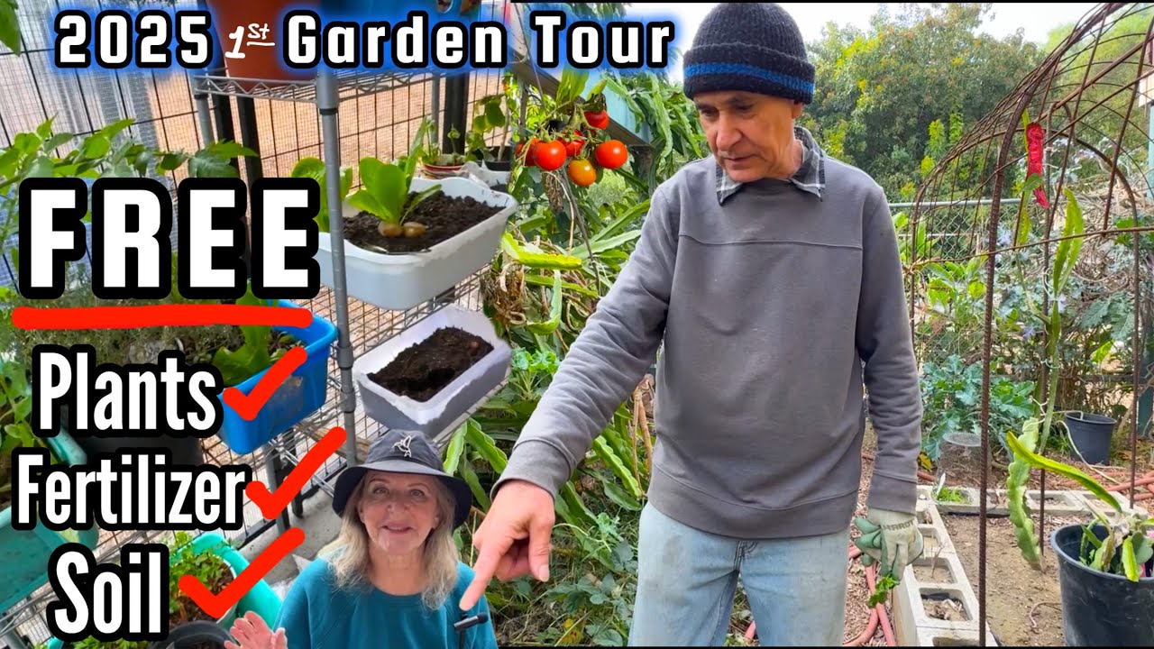 *FULL Winter Garden Tour TIPS for Vegetable Gardening in Ground & Raised Bed Container Growing  Food
