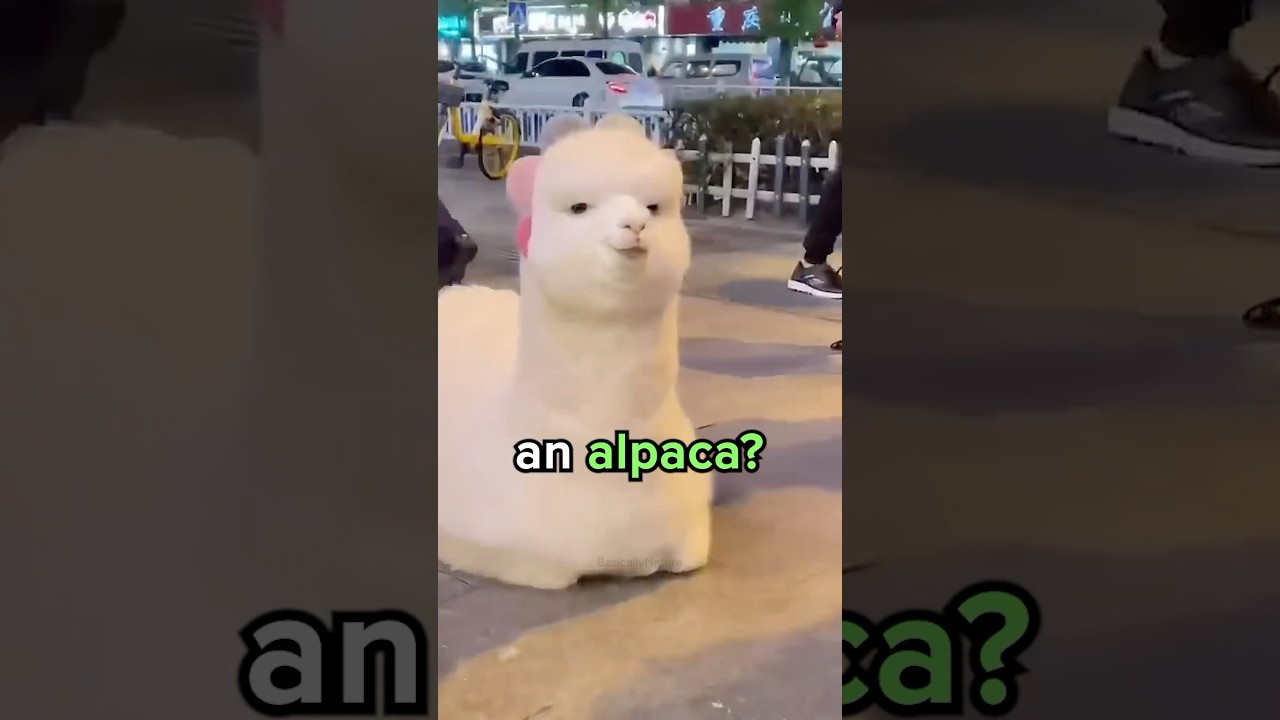 Difference Between Llama and Alpaca? 😳