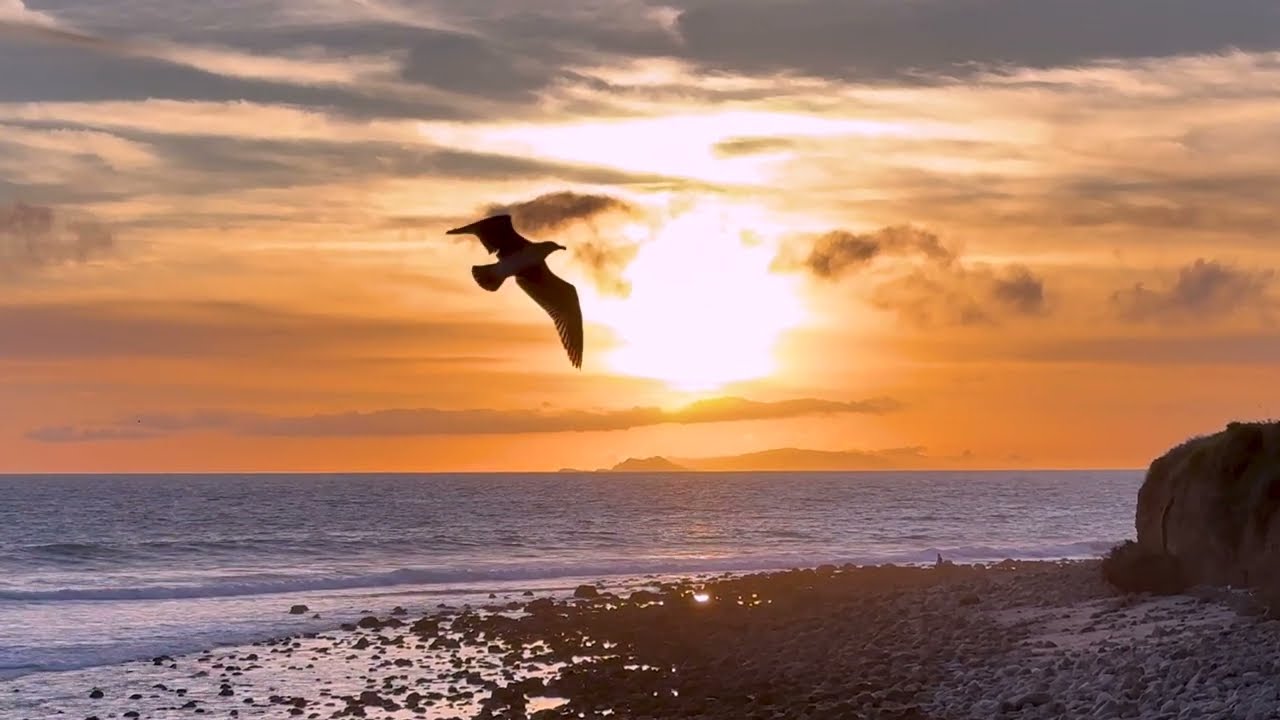 Music for Meditation & Relaxation  - 