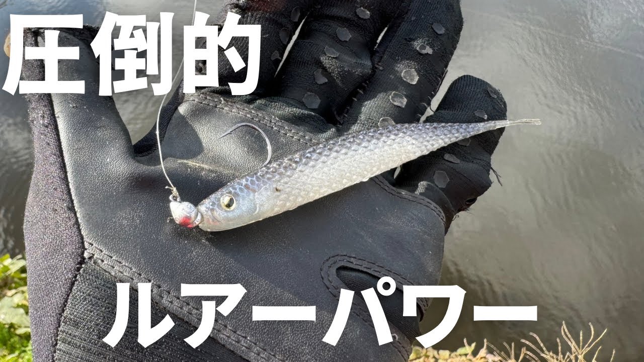 【冬のバス釣り】スーパーフィッシュローラーが釣れすぎるので、使い方、セッティング、狙い所を解説しながら実釣します。【レイドジャパン】【ミドスト】【入れ食い注意】