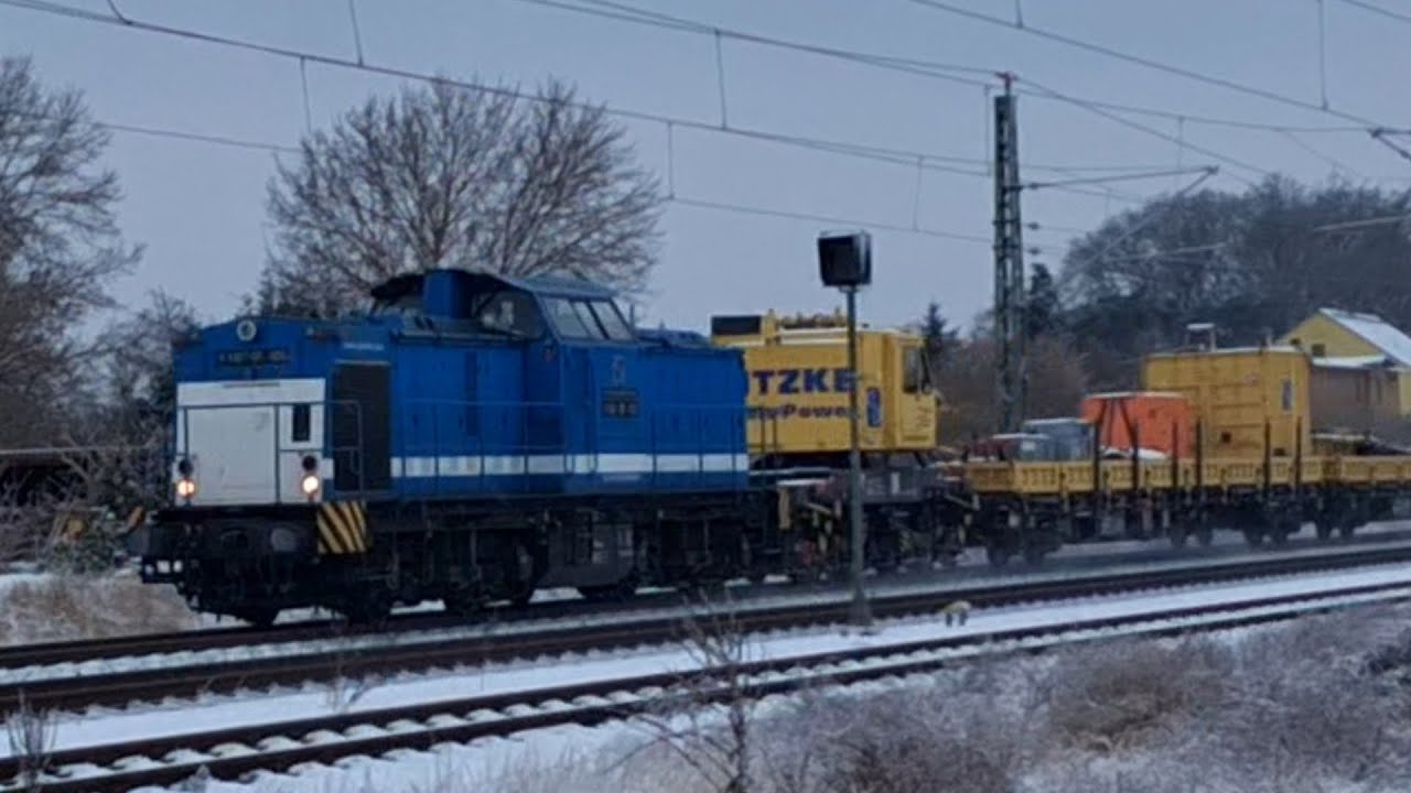 Zugsichtungen vom 28.1. bis 7.2.2026 in Waren / Müritz, Kargow, Niex, Grabowhöfe