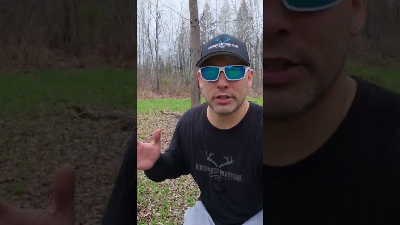 SPRING FOOD PLOT Overseeding Preparation pt1 #deer #whitetail #foodplot ##foodplotprep #hunting