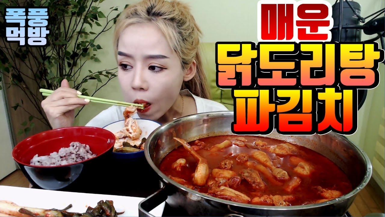 매운 닭도리탕 파김치 먹방