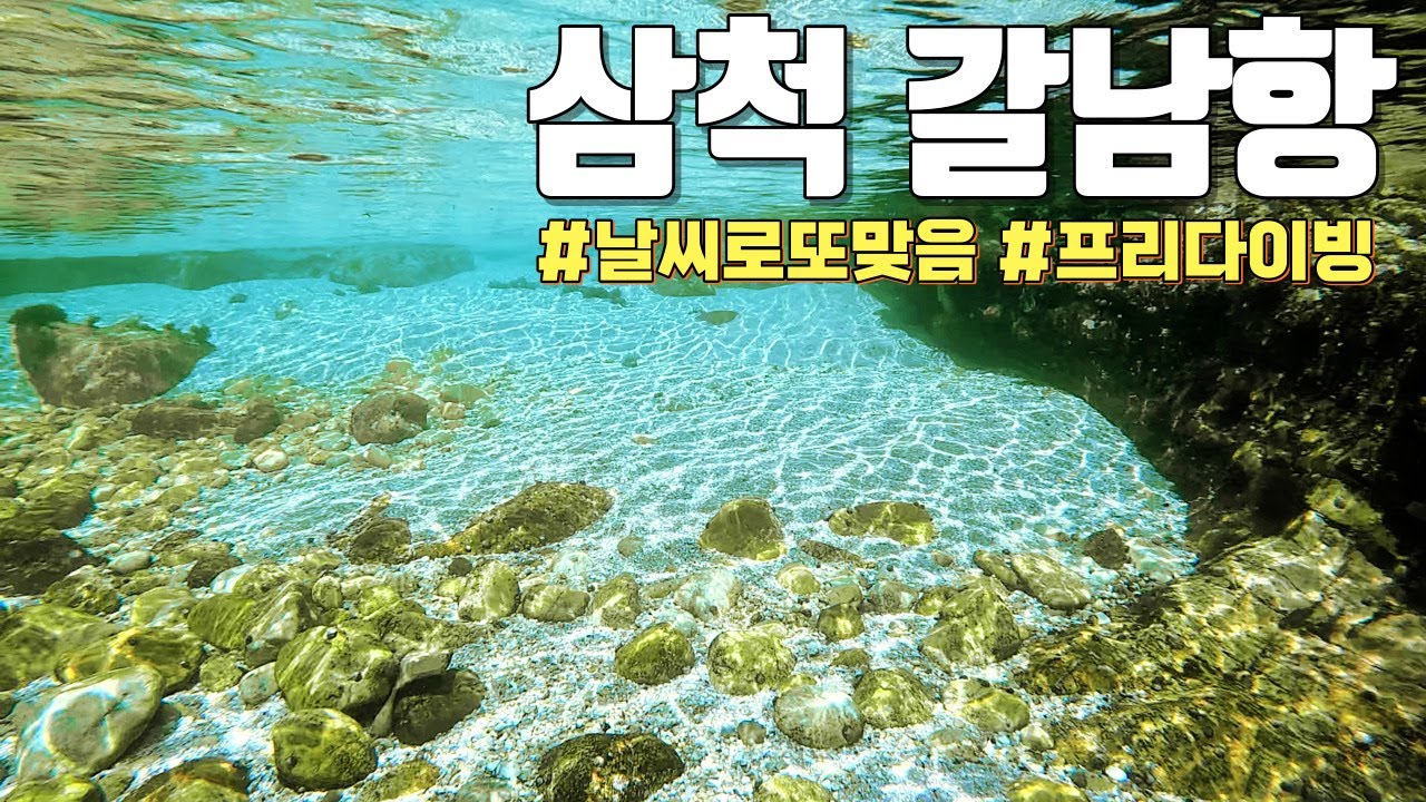 날씨잭팟터진🤑😆 지상낙원 갈남항 | 삼척 갈남항 가기전 필수시청(스노클링포인트, 주차, 수심 등)