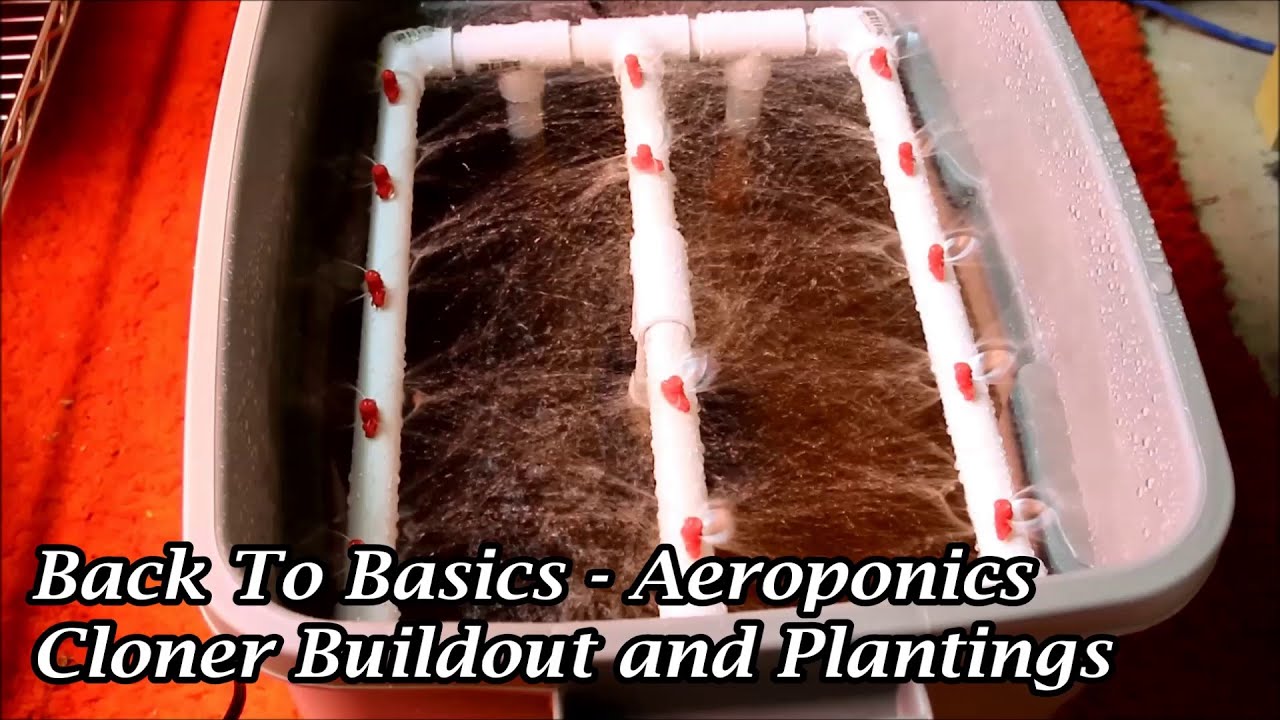 Aeroponics Cloner - Buildout and plantings