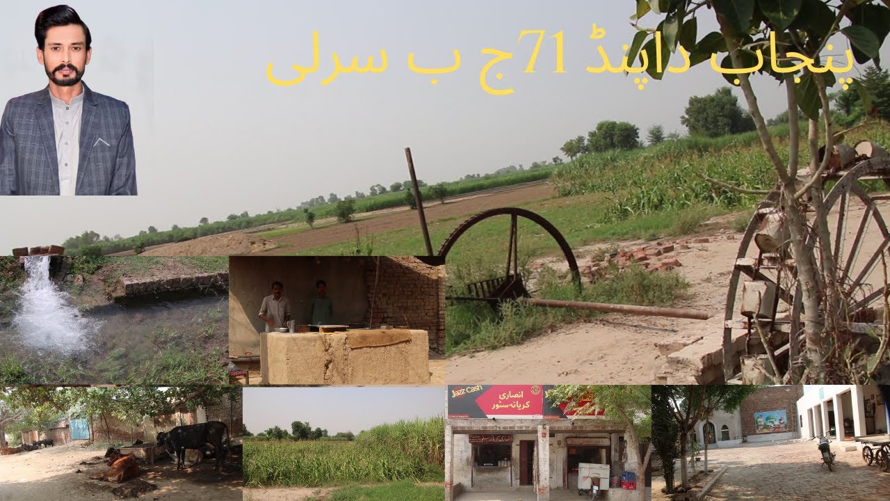 FAISALABAD THE PIND CHAK NO 71 JB SARIL