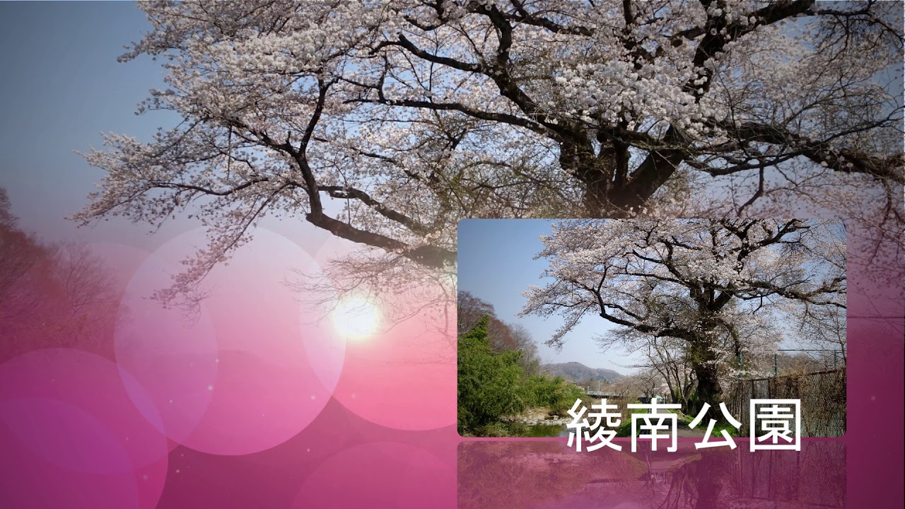 綾南公園