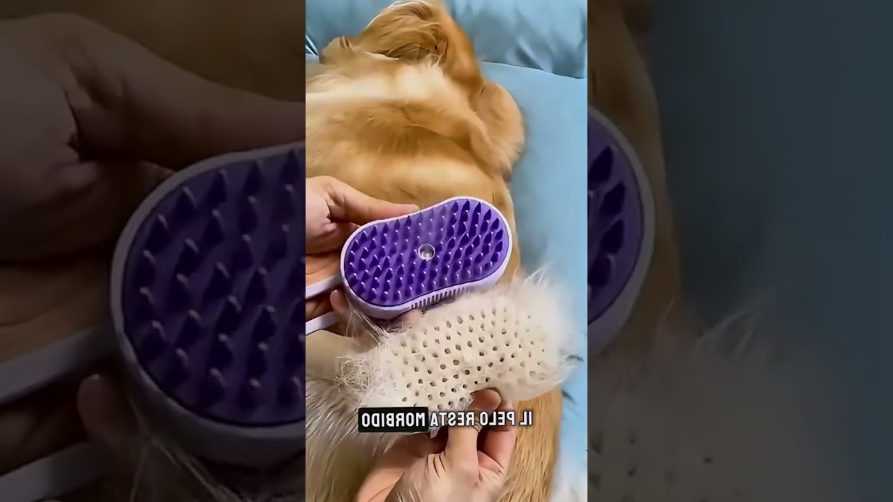 ✨Cat Steam Brush for Shedding Easy Grooming!💛#Cat #Cats #CuteCat