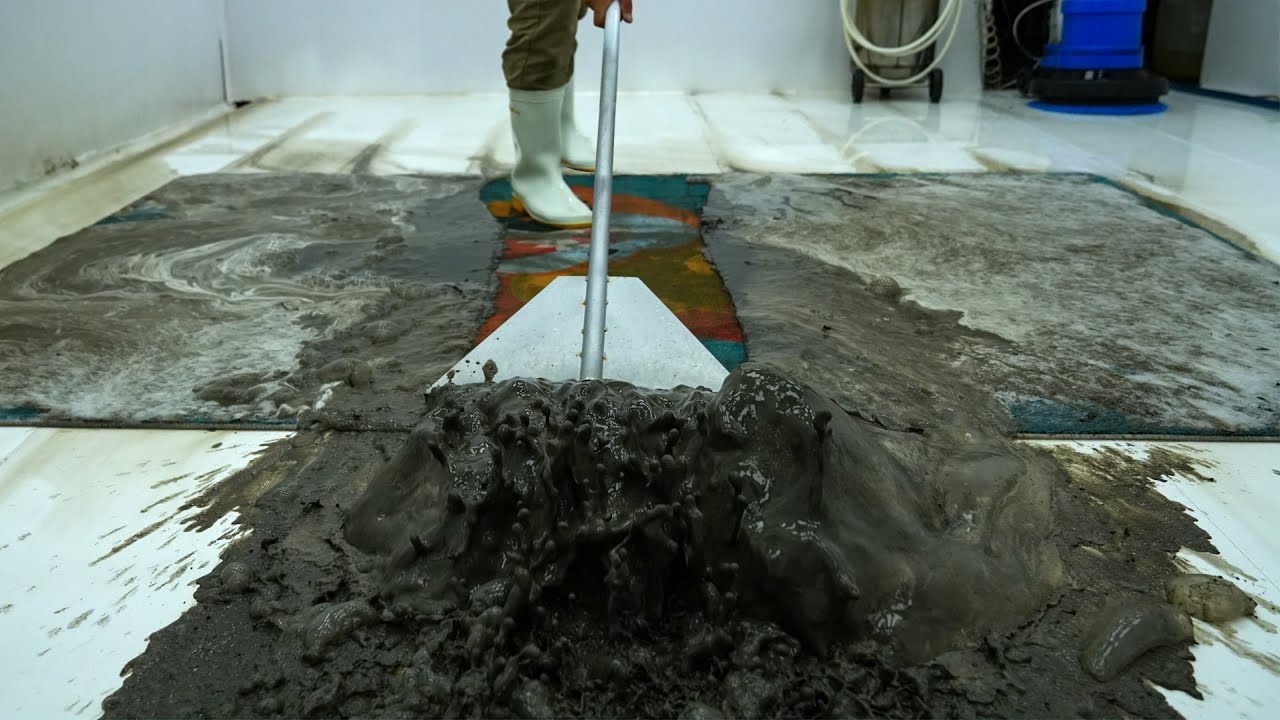 Carpet Cleaning Bliss: The Most Satisfying Transformations - Oddly Satisfying Video