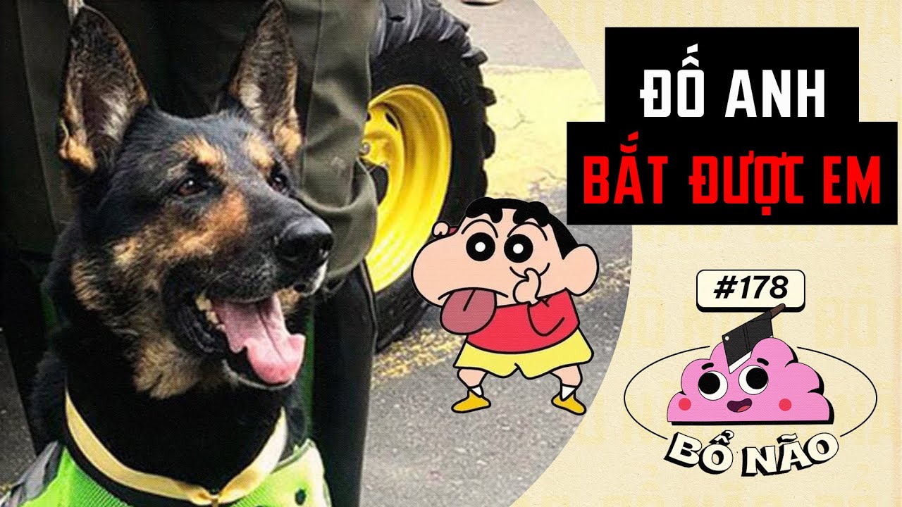 Đố Anh Bắt Được Em |Bổ Não 178