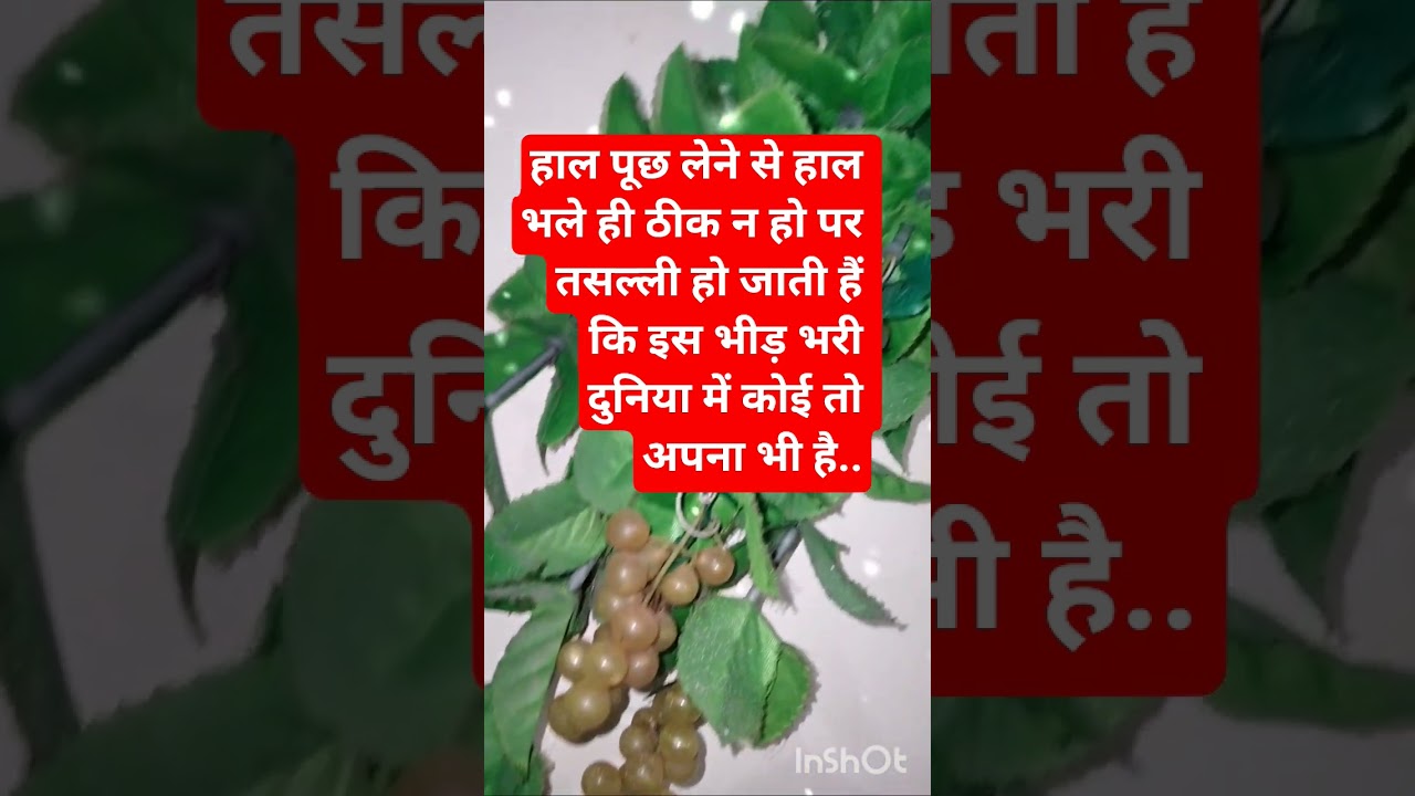 ram darash ki aash h man mai #vgms #jaishreeram #hanumanji #sitaram #shorts #viral