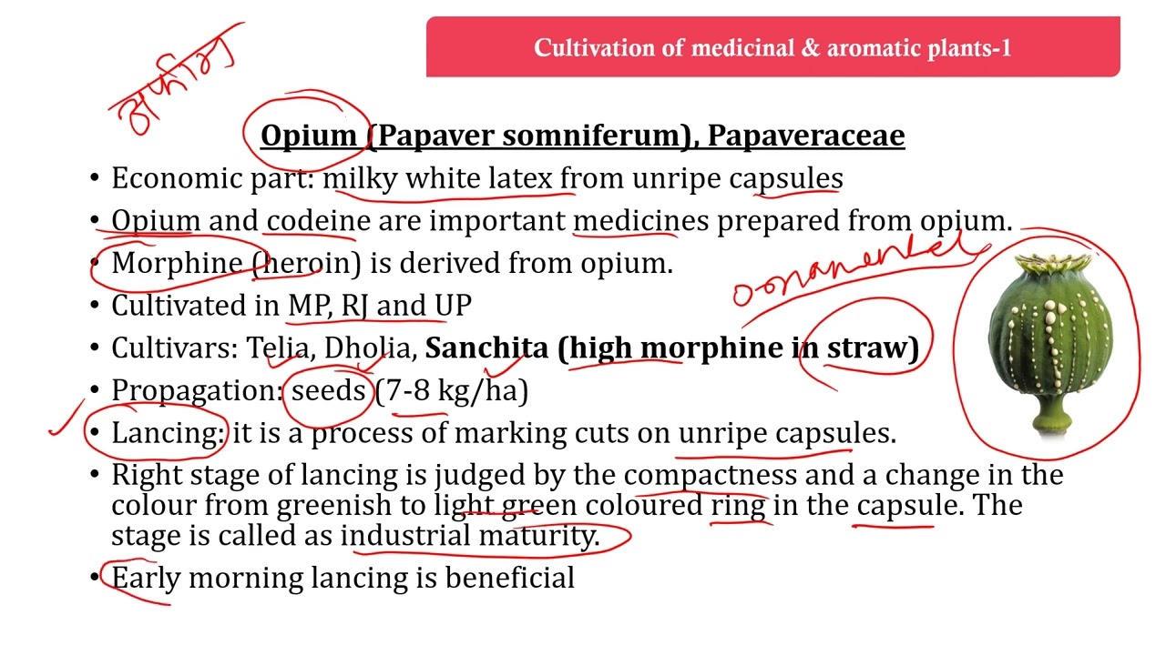 Medicinal & aromatic plants (Part-1)