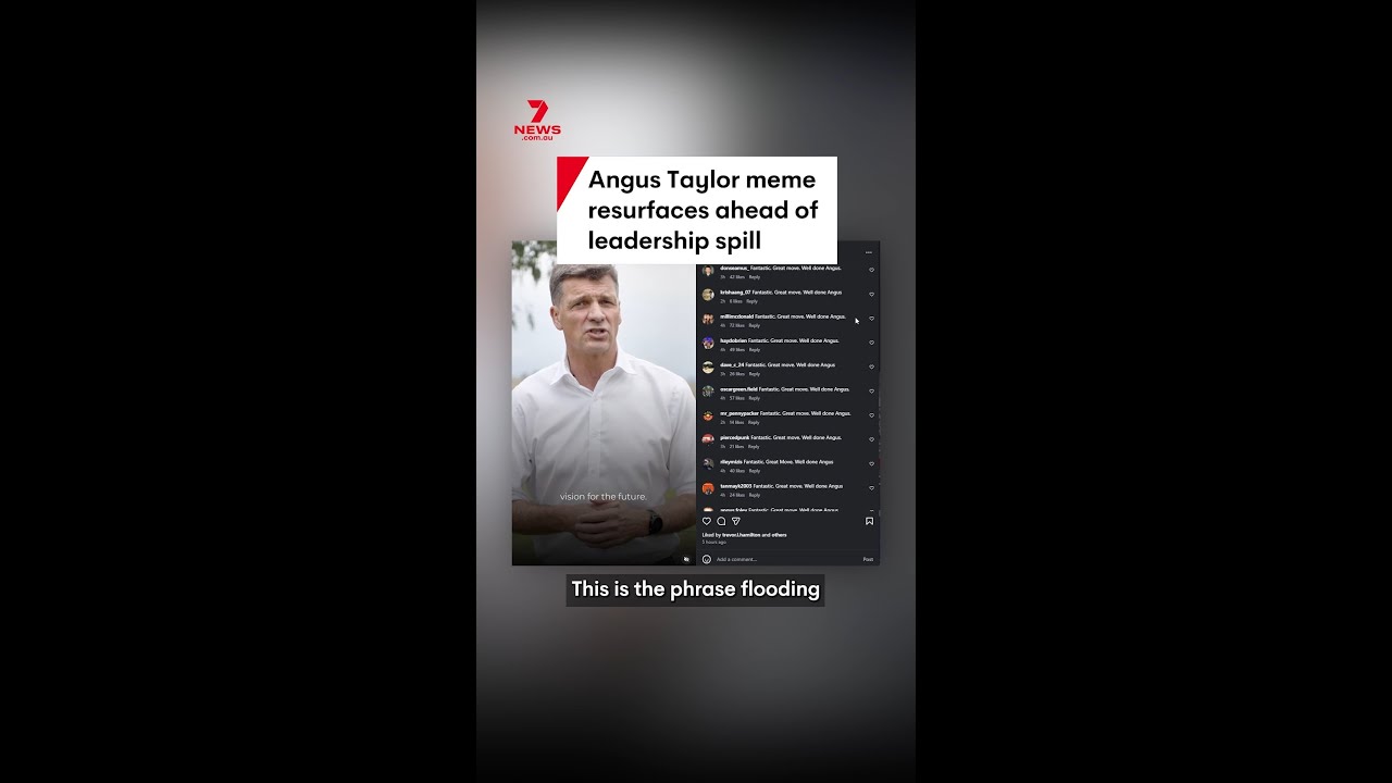 Angus Taylor meme resurfaces ahead of leadership spill