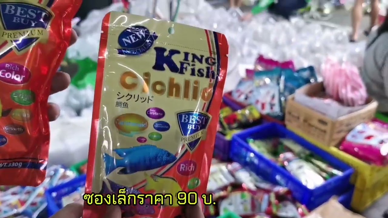 อาหารปลา King ​Fish​🐟
