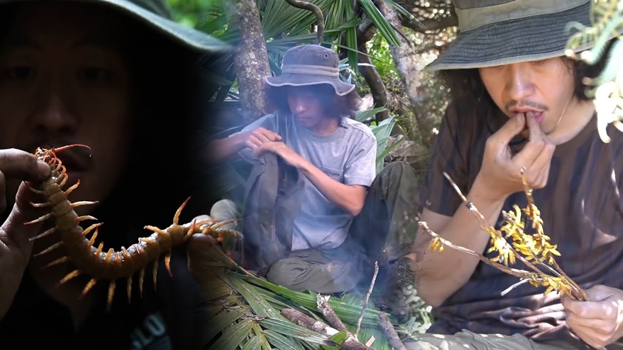 เอาชีวิตรอด  !! รวม ป่าดิบเขา + ป่าพลุ + ภูเขา