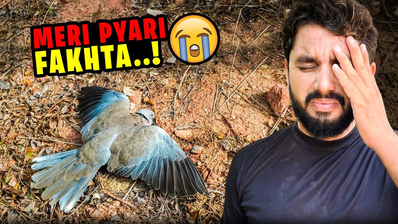 Sub Sy Pyari Fakhta Mar Gae.😢😭 #pets