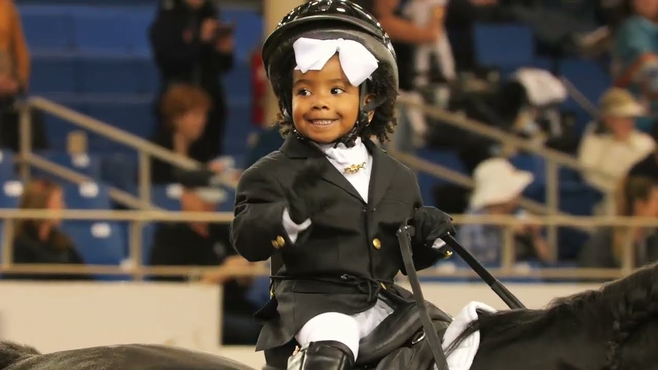 Scottsdale Arabian Horse Show | February 15th - 25th, 2024