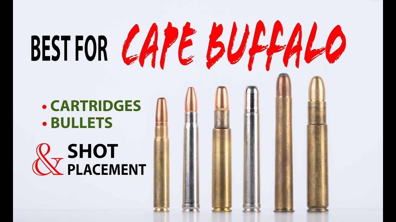 Best for Cape Buffalo: Cartridges,  Bullets, & Shot Placement