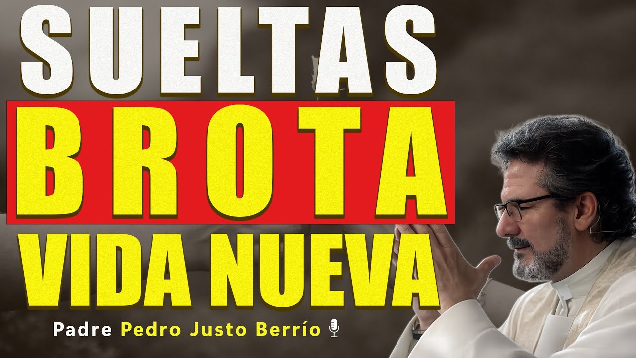 PERDONA Y SUELTA, Y BROTAN LA SANACIÓN Y LA ESPERANZA | Padre Pedro Justo