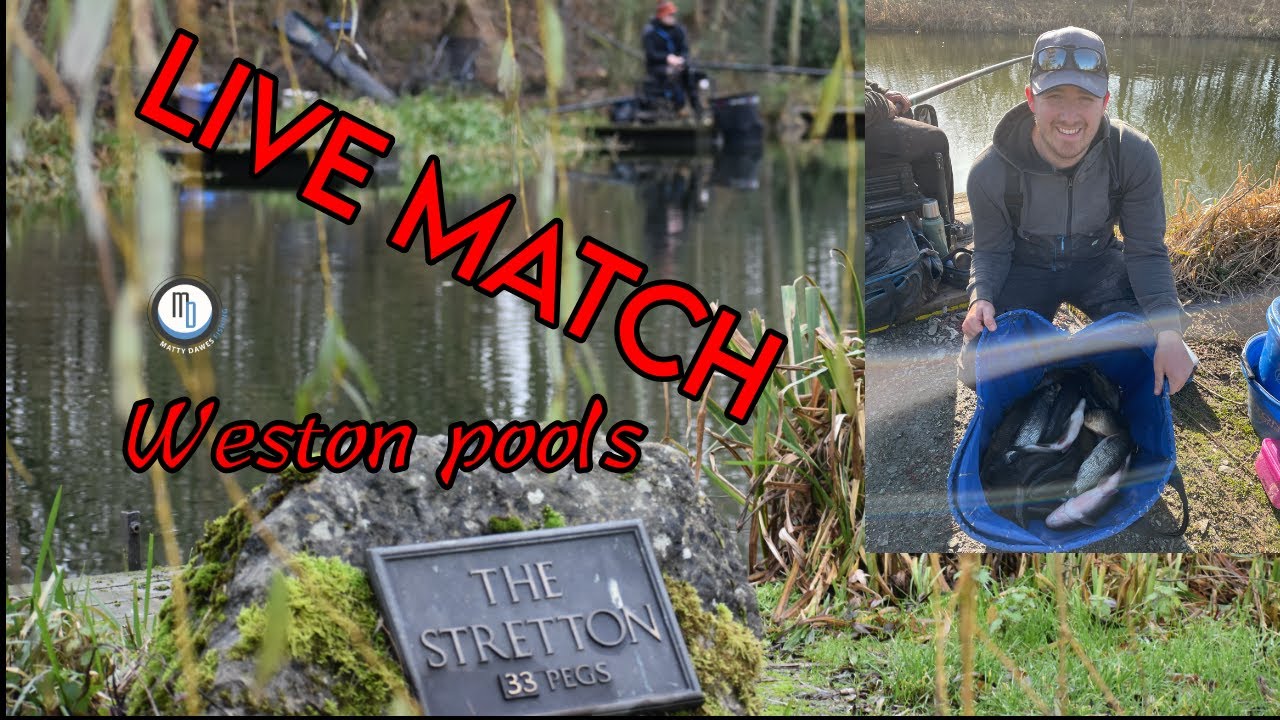 Live Match Fishing At Weston Pools Fishery | Friday Open Match