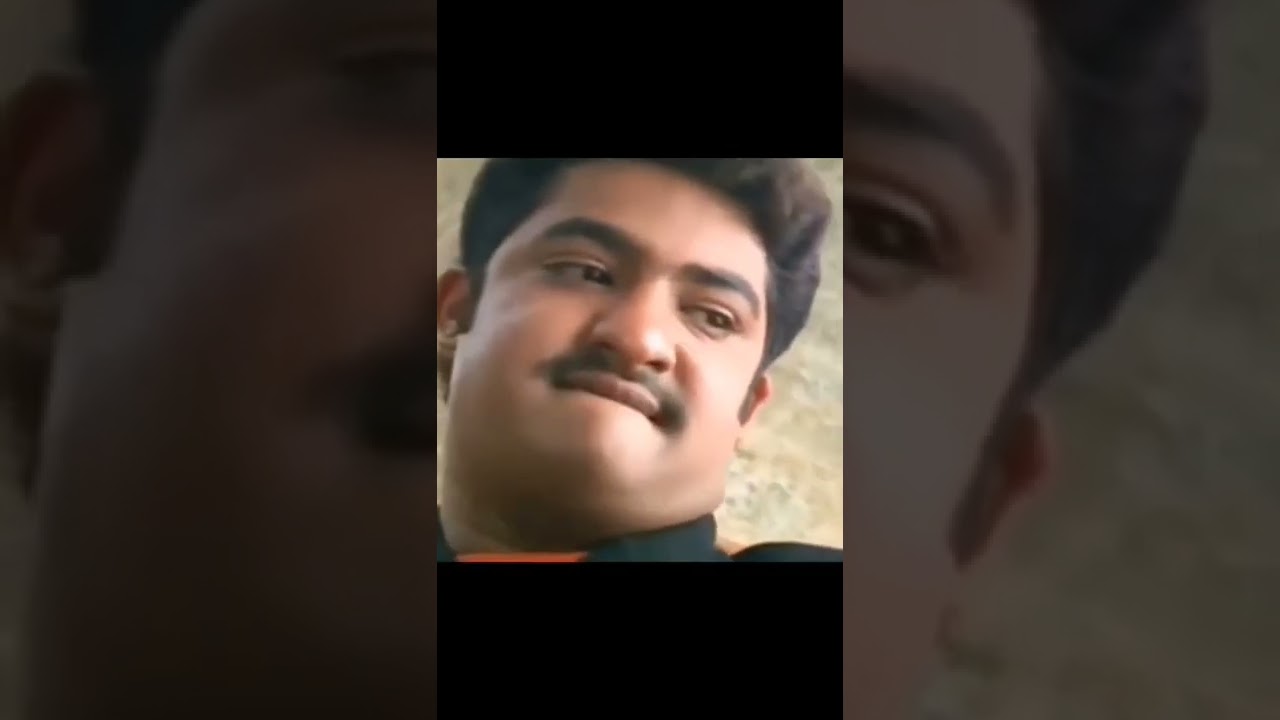 Aadi movie NTR's fighting scenes