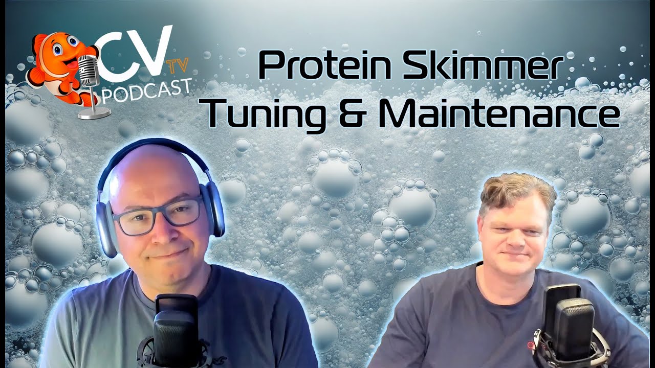 Protein Skimmer Tuning and Maintenance Tips