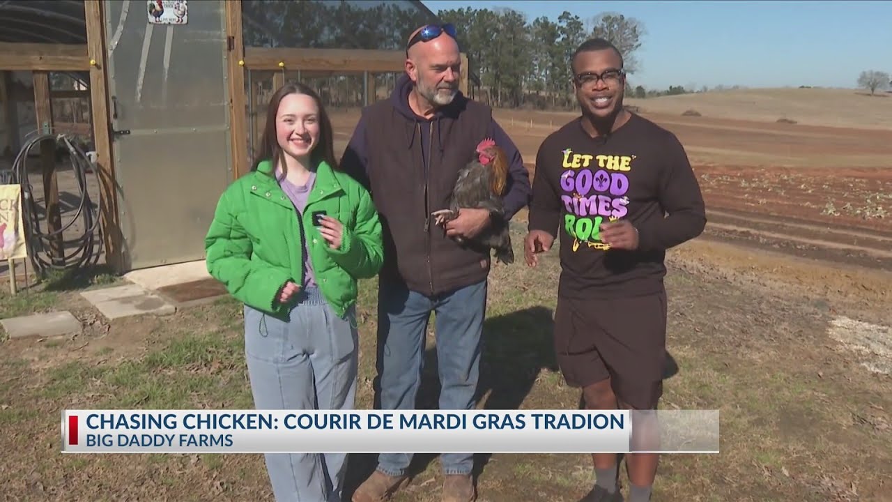 NBC 10 News Today: Chasing Chickens: Courir De Mardi Gras Tradition