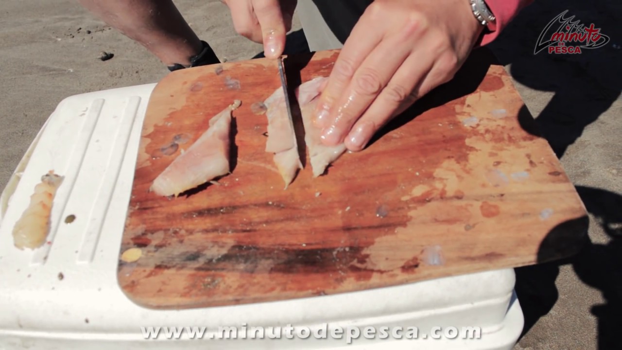 Lisa como carnada para pesca variada de mar - Minuto De Pesca HD