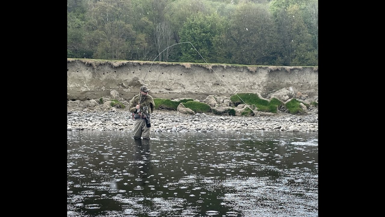 Cookie @ the Dee Sewage Works Llangollen Maelor Beat, Dry Flies, Brown Trout & Grayling 1-5-21, VCAC