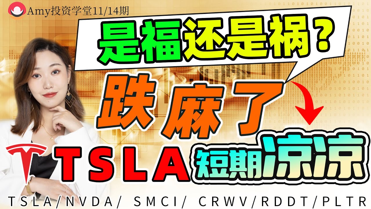 【美股11.14盘前展望】💥跌麻了 是福还是祸？⭐TSLA短期凉凉了 ？#投資#美股#股票#纳指#特斯拉  #aapl #meta   #nvda#googl#msft