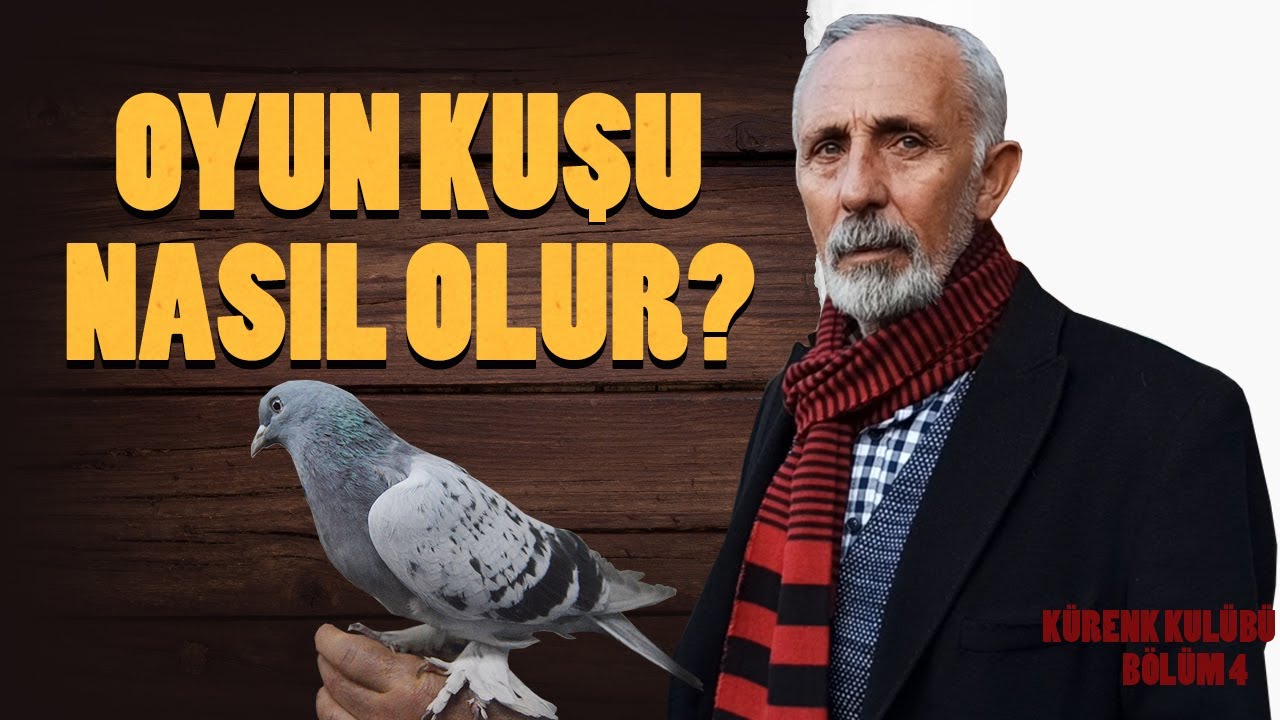 Oyun Kuşu Nasıl Olur? Karslı Öğretmenden Dinleyelim | Kürenk Kulübü