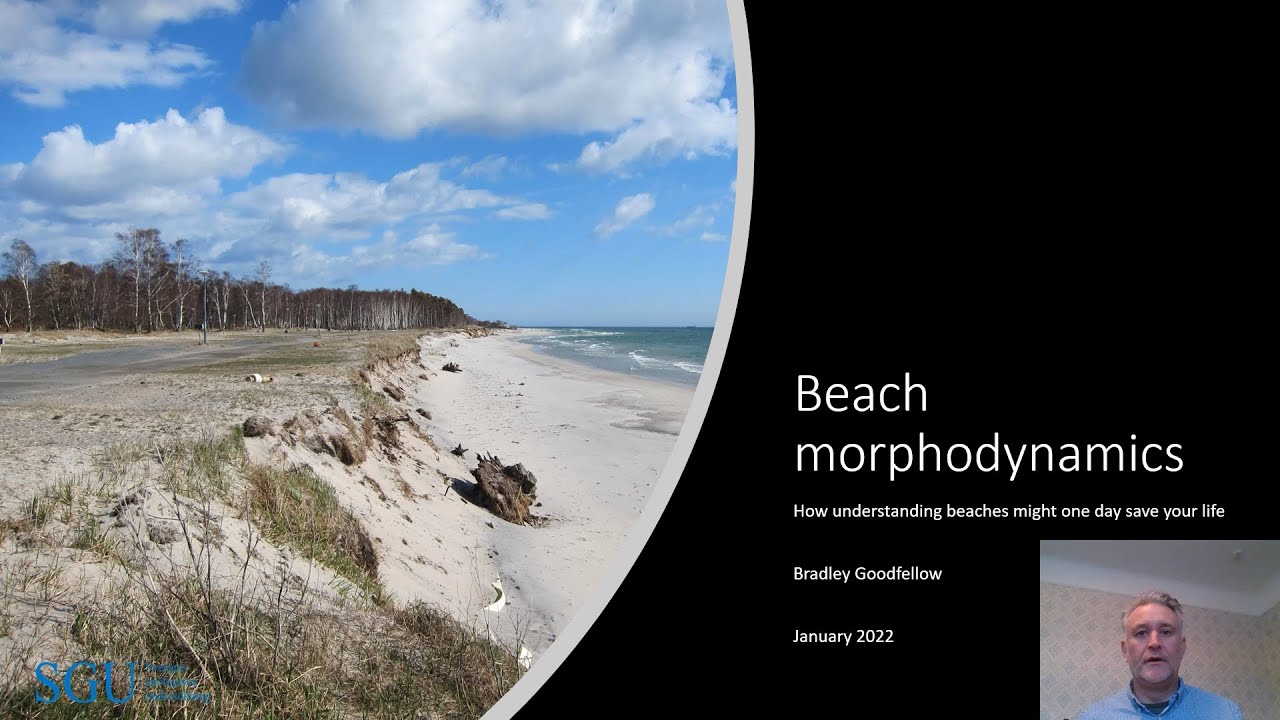 Beach morphodynamics