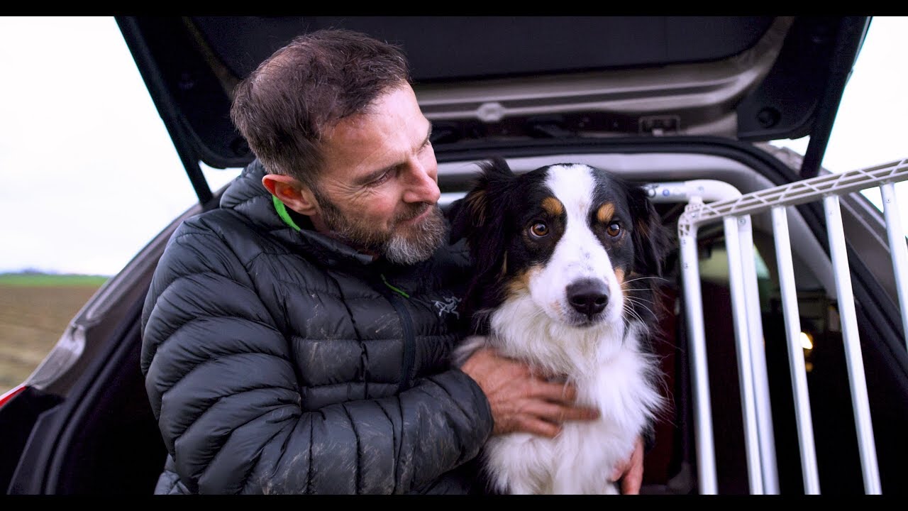 The dog that helped to design a car