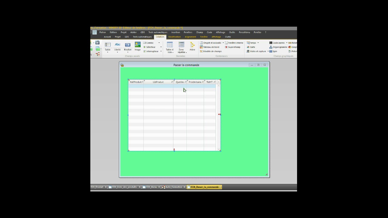 Auto Formation WinDev   3   Partie 15