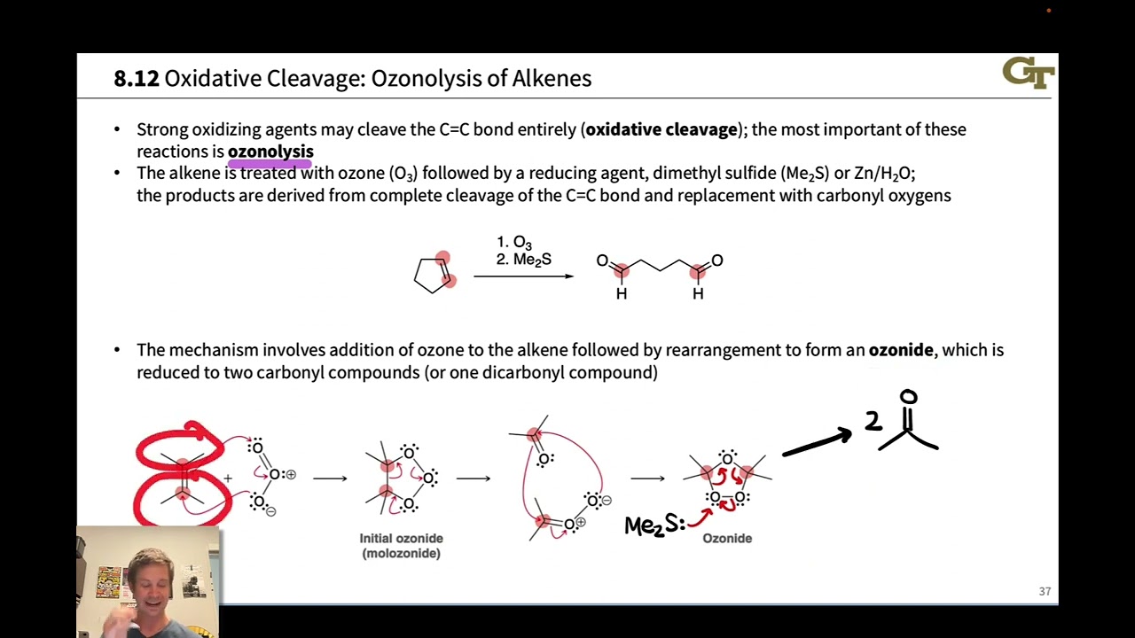 Ozonolysis of Alkenes