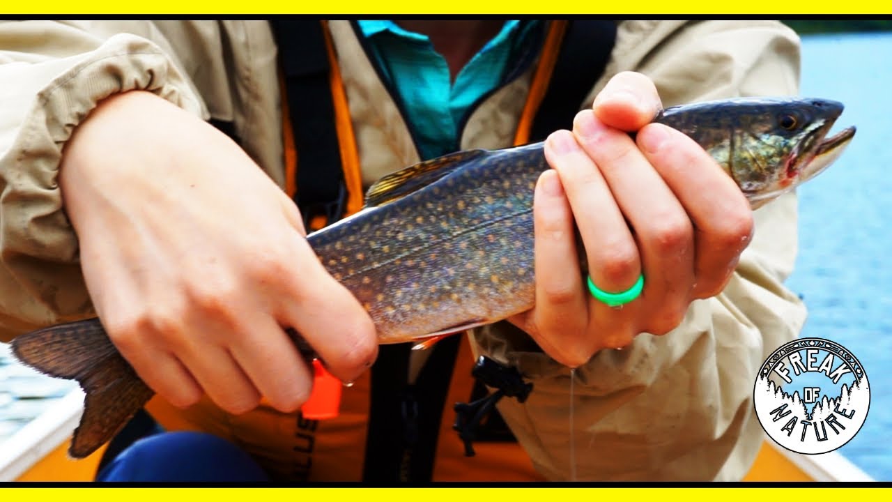 Algonquin Park Splake! Brook Trout| Breakfast| Fishing and Exploring 3 Lakes!