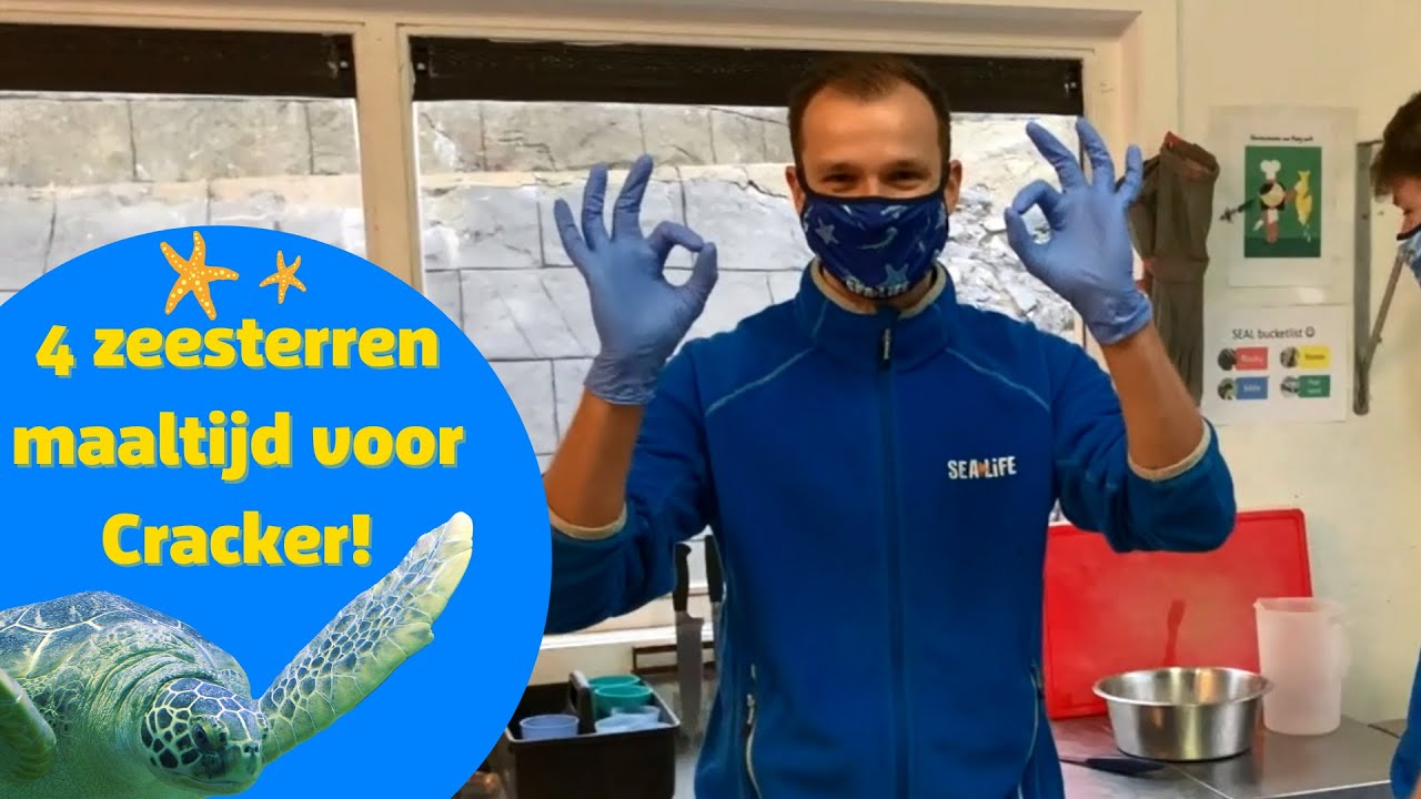 Michiel De Meyer neemt je mee achter de schermen bij SEA LIFE in Blankenberge! - Aflevering 1